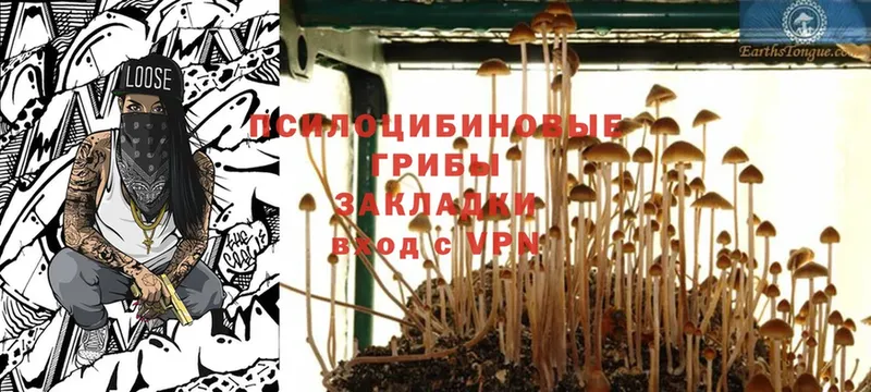 закладки  Дюртюли  Галлюциногенные грибы Magic Shrooms 